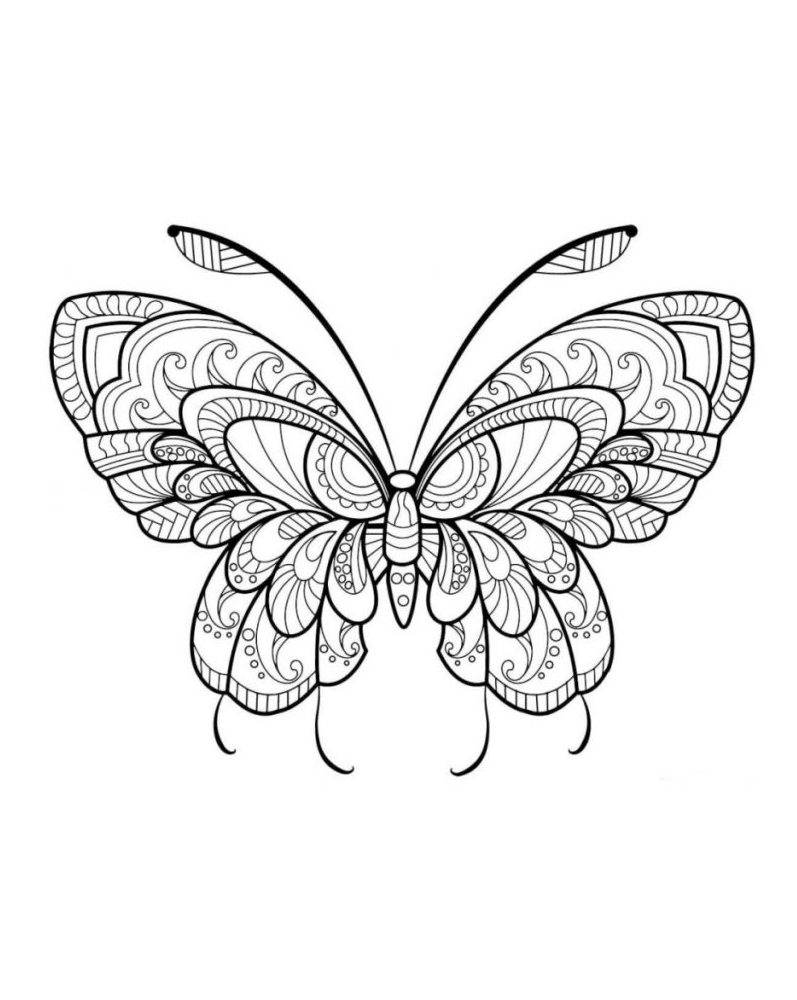 Mandala Papillon un Coloriage anti-stress Dessin haute qualité - Tatouage - zentangle - icolorify.com