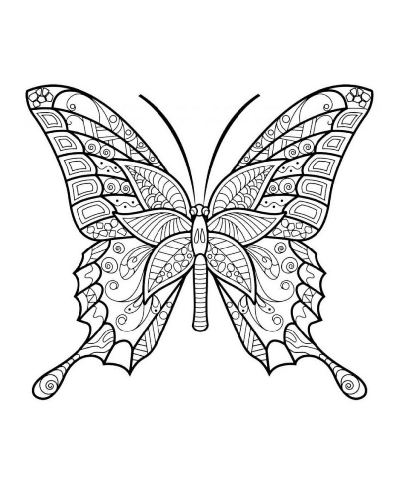 Mandala Papillon un Coloriage anti-stress Dessin haute qualité - zentangle papillon Tatouage - icolorify.com