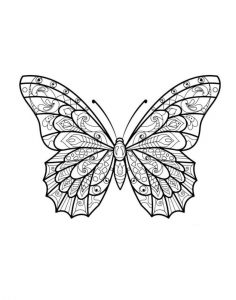 Mandala Papillon un Coloriage anti-stress Dessin haute qualité - Tatouage - iColorify