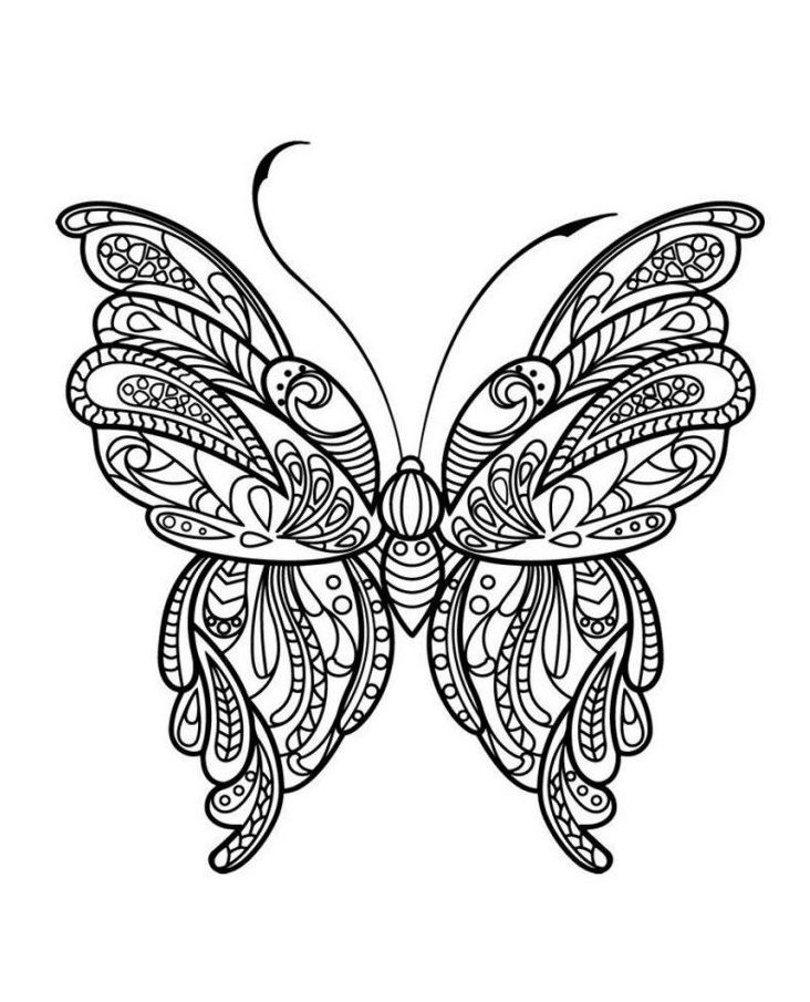 Mandala Papillon un Coloriage anti-stress Dessin haute qualité - Tatouage - iColorify