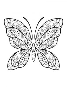 Mandala Papillon un Coloriage anti-stress Dessin haute qualité - Tatouage - iColorify