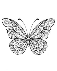 Mandala Papillon un Coloriage anti-stress Dessin haute qualité - Tatouage - zentangle - coloriage-dessin-mandala.com