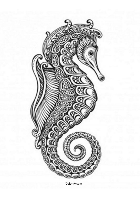 Coloriage Hippocampe à imprimer un Coloriage animaux marins Anti-stress en Haute qualité - iColorify