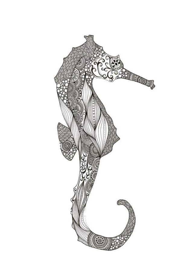 Mandala Hippocampe un Coloriage animaux marins Anti-stress en Haute qualité - iColorify