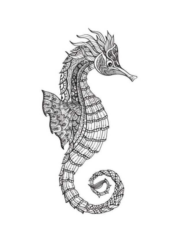 Mandala Hippocampe un Coloriage animaux marins Anti-stress en Haute qualité - iColorify