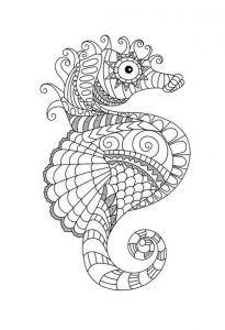 coloriage Hippocampe un Coloriage animaux marins Anti-stress en Haute qualité - iColorify