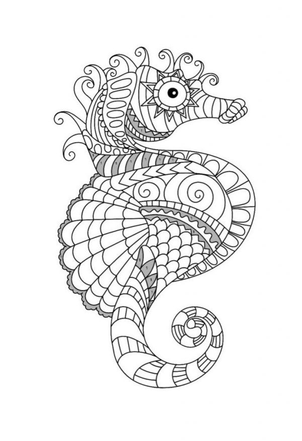 Coloriage hippocampe °9 : Une activité amusante et éducative 1 coloriage Hippocampe un Coloriage animaux marins Anti-stress en Haute qualité - iColorify