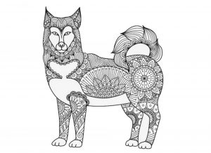 Mandala Loup un Dessin Haute Définition, Coloriage animaux Canidé gratuit - coloriage-dessin-mandala.com