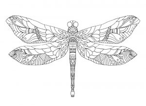 #2 : Mandala libellule Zentangle Coloriage Libellule, Mandala Libellule, un dessin anti-stress, un tatouage haute définition, un Coloriage insecte gratuit à imprimer sur iColorify.com
