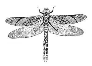 Coloriage Libellule, Mandala Libellule, un dessin anti-stress, un tatouage haute définition, un Coloriage insecte gratuit à imprimer sur iColorify.com