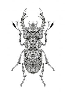 Coloriage scarabée mandala : donnez vie à vos créations dessin Scarabée Mandala Scarabée Gratuit, tatouage insecte, dessin anti-stress à imprimer sur iColorify.com