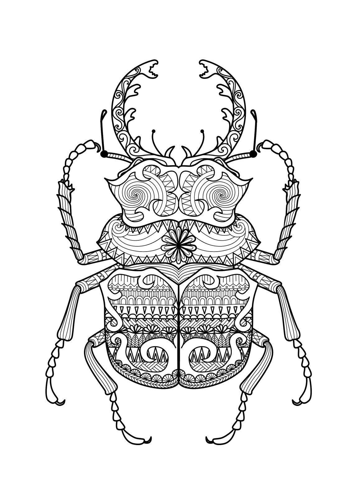 Coloriage Scarabée, Mandala Scarabée Gratuit, tatouage insecte, dessin anti-stress à imprimer sur iColorify.com