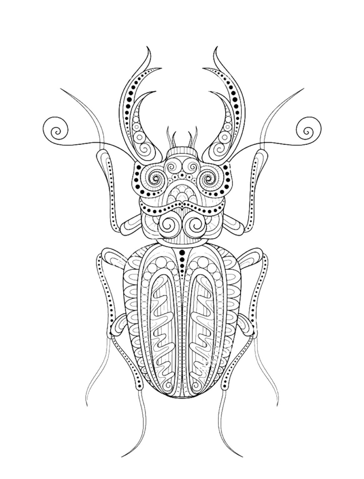 Coloriage Scarabée Mandala Scarabée style Zentangle Gratuit, tatouage insecte, dessin anti-stress à imprimer sur iColorify.com