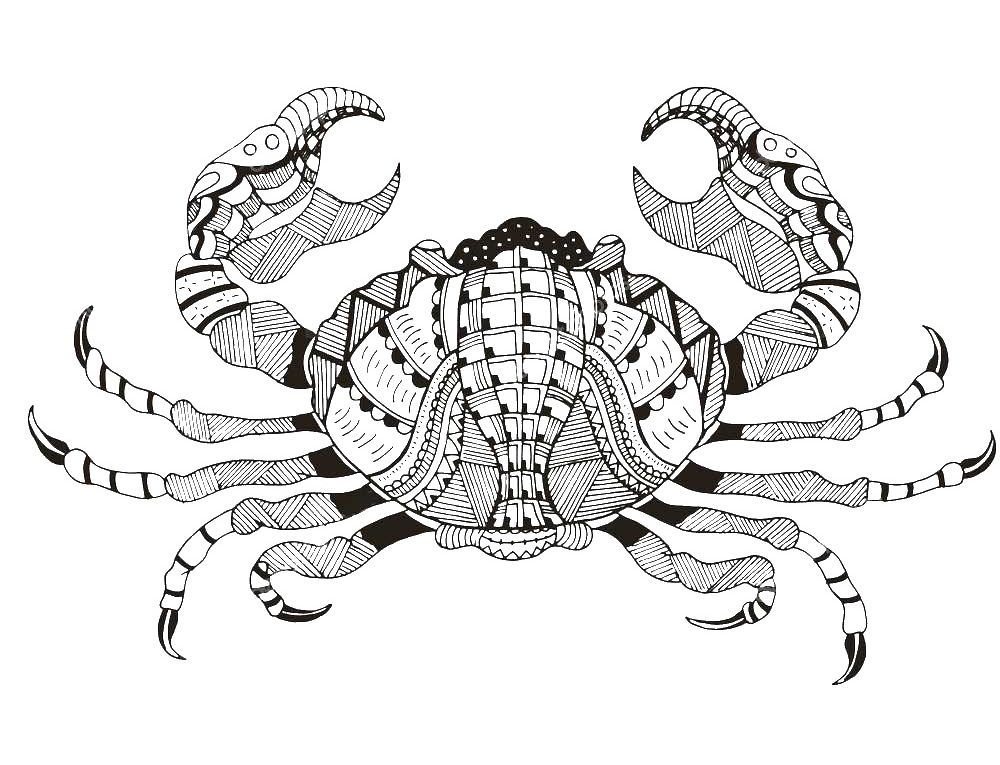 Zentangle Crabe un Coloriage crabe, dessin tourteau anti-stress gratuit à imprimer, un tatouage haute définition sur iColorify.com
