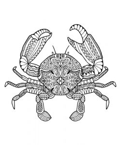 Mandala Crabe un Coloriage crabe, dessin tourteau anti-stress gratuit à imprimer, un tatouage haute définition sur iColorify.com