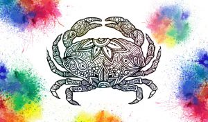 Coloriages mandalas Crabe et Tourteau