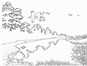 Coloriage Paysage Nature #11 Coloriage Paysage Nature, un coloriage nature, des paysages et dessin nature à colorier et à imprimer gratuit sur Coloriage-dessin-Mandala.com