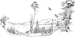 Coloriage Paysage Nature, un coloriage nature, des paysages et dessin nature à colorier et à imprimer gratuit sur Coloriage-dessin-Mandala.com