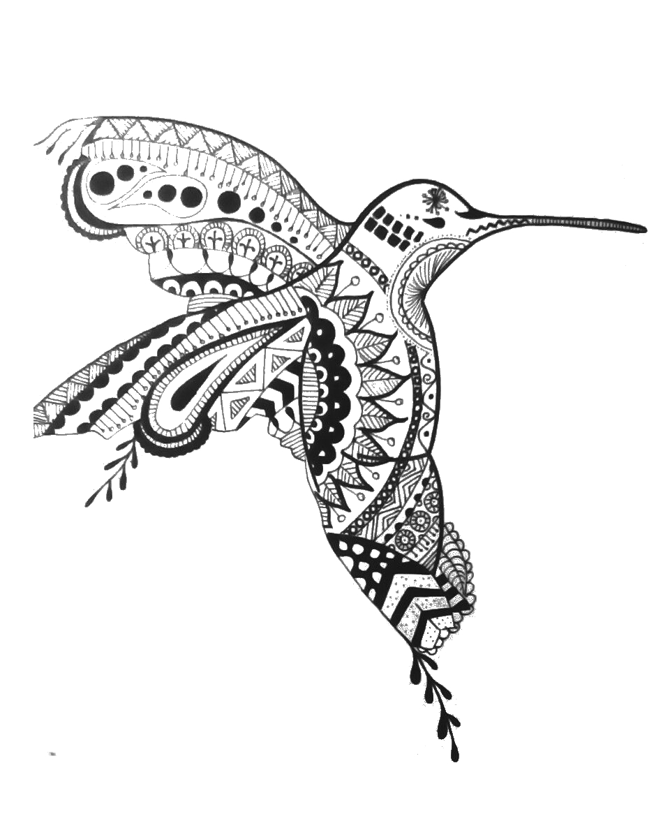 Joli coloriage Colibri, un mandala colibri dessin syle Zentangle de oiseau gratuit à imprimer et colorier
