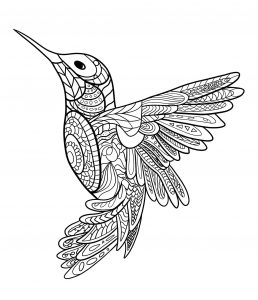 Joli coloriage Colibri, un mandala colibri dessin syle Zentangle de oiseau gratuit à imprimer et colorier