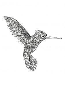 Joli coloriage Colibri, un mandala colibri dessin syle Zentangle de oiseau gratuit à imprimer et colorier